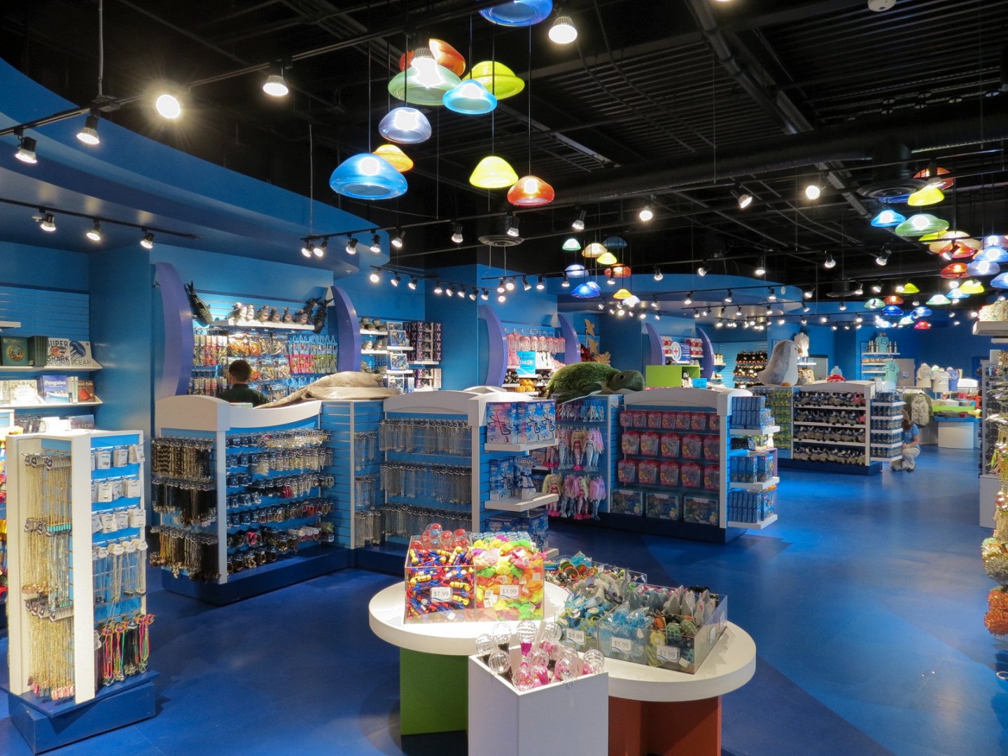 Caruso Turley Scott, Inc. » OdySea In The Desert Aquarium